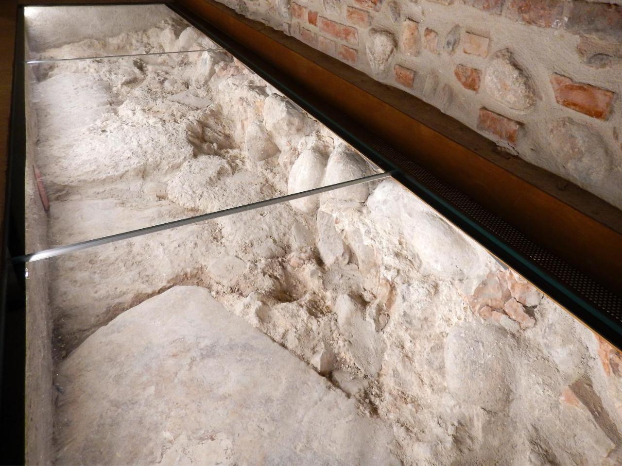 Arena Luxury Suite Verona Esterno foto